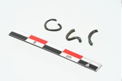 Foto von Bronzering (NHMW-PRAE-025298)